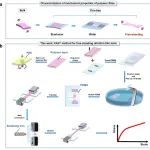 天津大学叶龙教授 Macromolecules：表征自支撑高分子光电薄膜力学性能的新方法