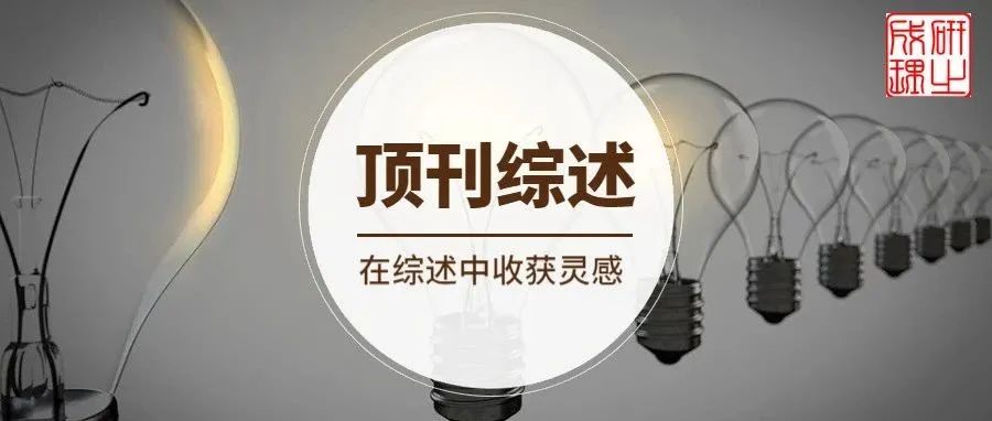 香港理工大学，Nature Reviews Bioengineering&#160;！