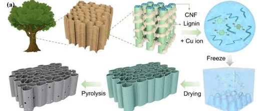 华南理工大学《ACS Nano》：全天然木碳气凝胶，用于柔性Zn-Air电池