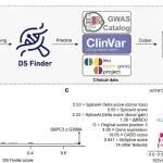 Nat Biotechnol | 北京大学魏文胜团队系统揭秘人类基因组中“沉默突变”的功能性“低语”