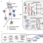 Nat Comput Sci | 清华大学生命学院鲁志团队与合作者发表人工智能模型RNAsmol预测靶向RNA的小分子药物