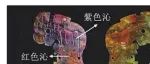 鲍怡  叶晓红｜关于中国闪石玉质出土玉器材质研究方法的思考