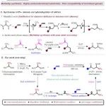 【ACS Catal.】上海大学黄伟臣：光促进的亲核催化氢烷基化——非活化烯烃高效合成α-三氟甲基胺