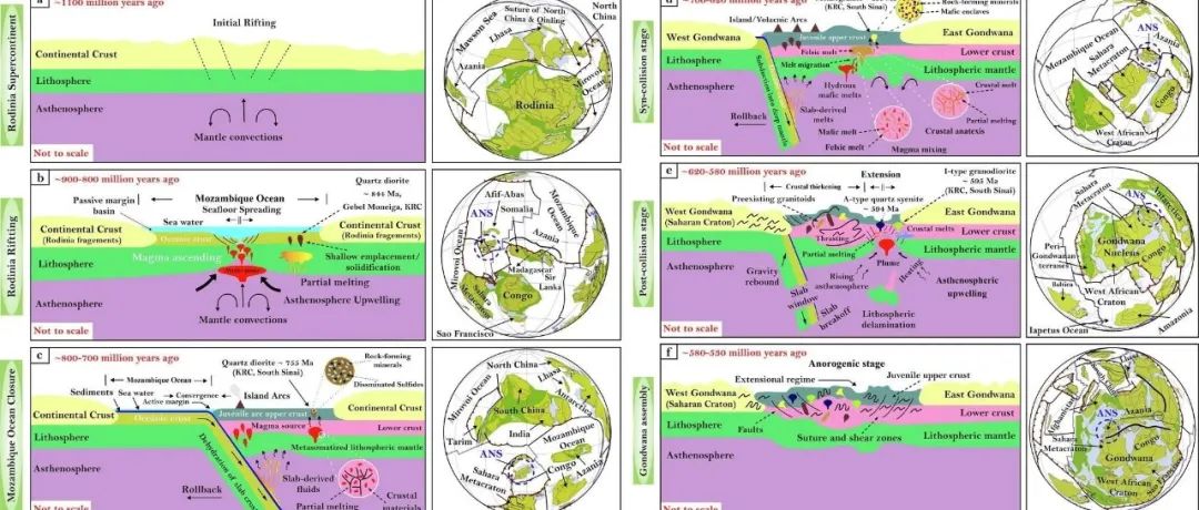 Geosci. Front. | 埃及西奈半岛凯瑟琳环状杂岩全岩地球化学、全岩Sr-Nd同位素及锆石U-Pb-Hf同位素研究