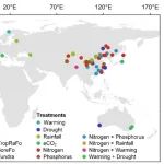 Journal of Ecology | 中山大学与中国科学院地球环境研究所联合发表研究：过去二十年全球变化下植物氮磷的解耦