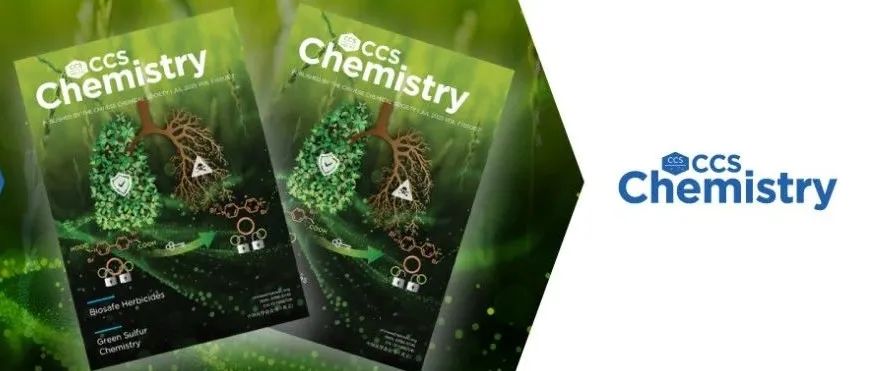 CCS Chemistry 2025年第7期主编寄语：化学之美