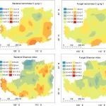 GCB| 中国科学院地球环境研究所王云强团队揭示土壤微生物群落多样性在大规模积累残体碳方面的潜力