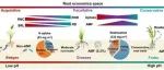 Plant, Cell and Environment: 韩兴国/姜勇团队量化草原植物根氮再分配与根系经济空间关系