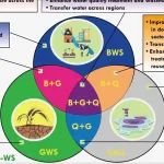 PNAS | 中国农业大学石羊河团队刘文丰教授课题组在全球多维水短缺评价领域取得重要进展