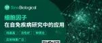 「重温经典」细胞因子在RA、IBD、Ps、SLE等自身免疫性疾病中的研究综述