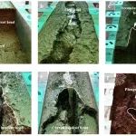 硕士研究生一作Journal of Hydrology | 广西大学科研团队在花岗岩红壤区坡面水蚀过程方面取得研究进展