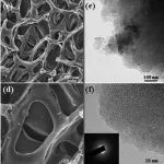 南方科技大学《ChemistrySelect》：热机械耦合制备独立式多孔碳，用于钠离子电池