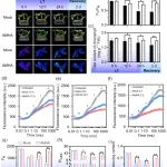 南京农业大学博士生一作在植物科学一区Top期刊（IF=8.5）发表研究成果！