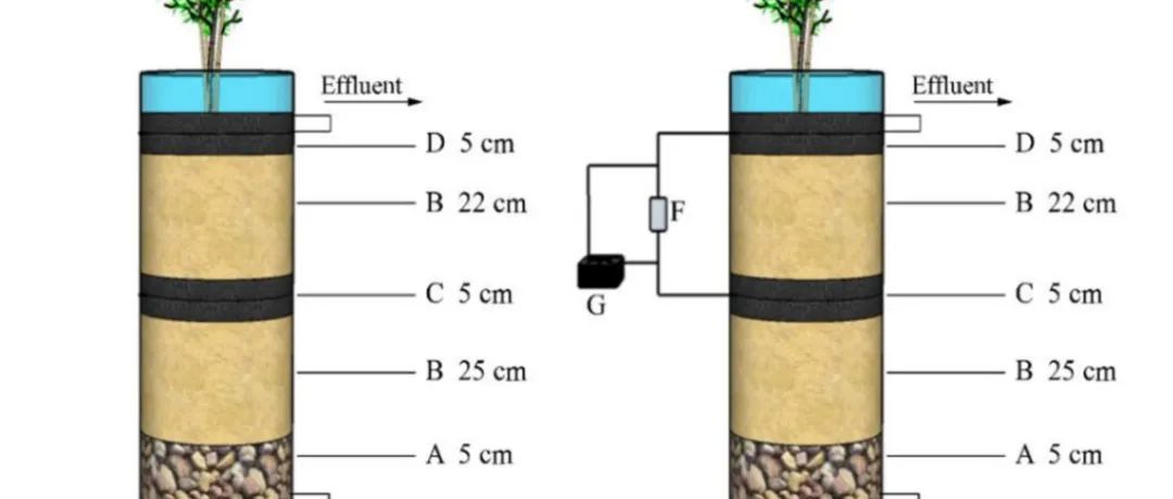 【文献精选】Process Saf. Environ. Prot.|CW-MFC处理抗生素污染海水养殖废水的性能及机理
