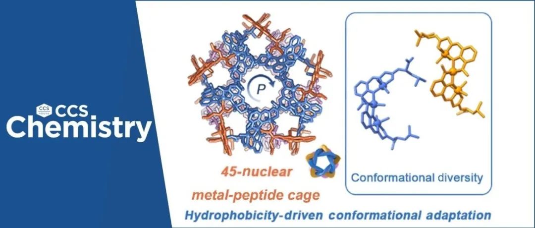 【CCS Chem.】厦门大学孔祥建/龙腊生团队：具有五重对称的巨型金属-肽分子笼