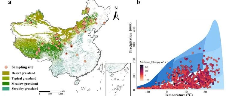 GCB：气候变暖及土壤干旱促进中国草地甲烷汇增加