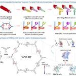 【Angew. Chem.】四川大学袁立华/李晓伟：基于大环化合物的超分子策略实现COF可切换螺丝刀式按需后功能化