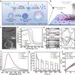 瞿金平教授华科大团队牛冉研究员 AFM：基于离子交换的微反应器利用自身产生的pH梯度和长程流场实现双重增强的铀提取