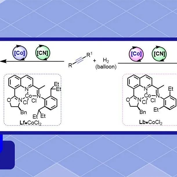 浙江大学陆展Angew. Chem.：钴催化内炔烃的半氢化反应—立体发散性合成E式和Z式烯烃