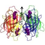 什么是分子偶极矩？