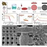 兰州理工大学《AFM》：亲钾rGO/CNTs/NaF微晶格气凝胶，用于高性能钾金属电池