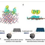 苏州大学《Adv Sic》：采用ALD保形星爆多孔石墨烯正极，用于高性能可充电锂氯电池
