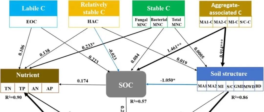 【视点】吉林农业大学窦森教授土壤有机质团队：揭示秸秆与生物炭施用促进碳富集机制以提升土壤肥力及玉米产量