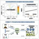 Nature子刊 | 严正兵研究员等揭示叶片经济策略驱动植物生物量响应磷添加的机制