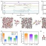 大连化物所吴忠帅团队Nano Energy：中等浓度弱溶剂化电解液助力石墨负极快充与低温性能的提升
