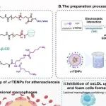 Adv Mater丨中国药科大学姜雷等团队研究发现巨噬细胞靶向纳米粒调节胆固醇稳态以治疗动脉粥样硬化