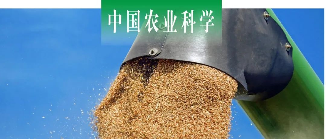中国农业科学｜江苏大学王刚课题组利用大孔吸附树脂与高速逆流色谱纯化脱氧雪腐镰刀菌烯醇-3-葡萄糖苷