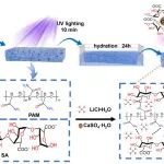 华南农大胡传双教授、林秀仪副教授、徐江涛副教授 Adv. Sci.：双网络离子水凝胶实现可穿戴电子器件电磁屏蔽与自供电传感一体化