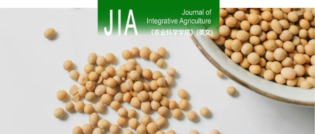 JIA｜东北农大大豆遗传改良团队在大豆耐盐碱关键基因挖掘和基因功能解析的研究