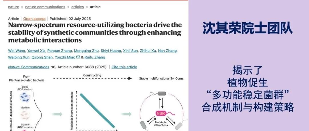 沈其荣院士团队Nature Communications最新成果！