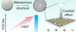 ACS NANO.调控介孔中熵合金纳米酶的p-d轨道杂化以增强类过氧化物酶活性