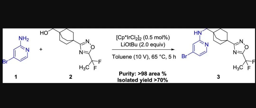 A Mild and Efficient Process for Ir-Catalyzed N&#8209;Alkylation