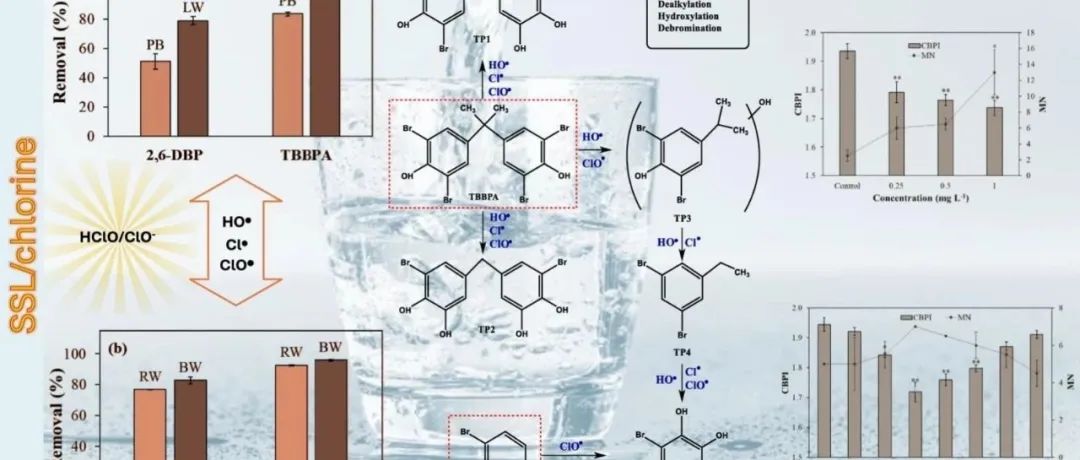 文献速递|希腊帕特雷大学CEJ:四溴双酚A及其主要降解产物2,6-二溴苯酚：模拟太阳光/氯高级氧化工艺的同步去除及致突变性评估