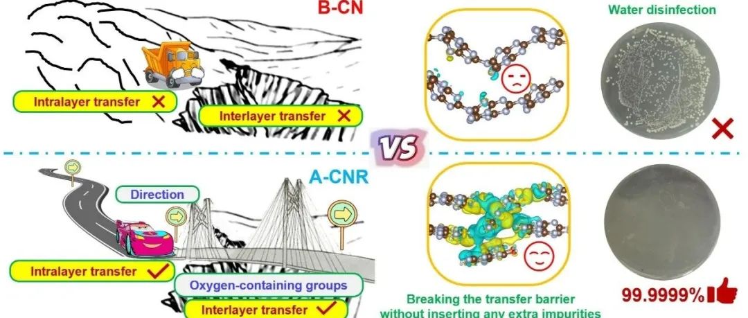 南京邮电大学魏昂/位威团队：通过层叠氮化碳纳米棒中的含氧基团增强层间载流子输运实现优异的光催化消毒