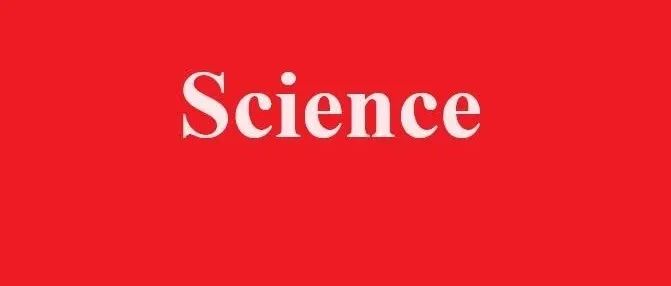 西安交大，《Science》今日发文！
