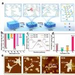 石河子大学贾鑫/杨斌、郑州大学李俊 NC: 通过剪切-修复策略促进超薄多孔氮化碳中的载流子动力学用于过硫酸盐辅助的水净化