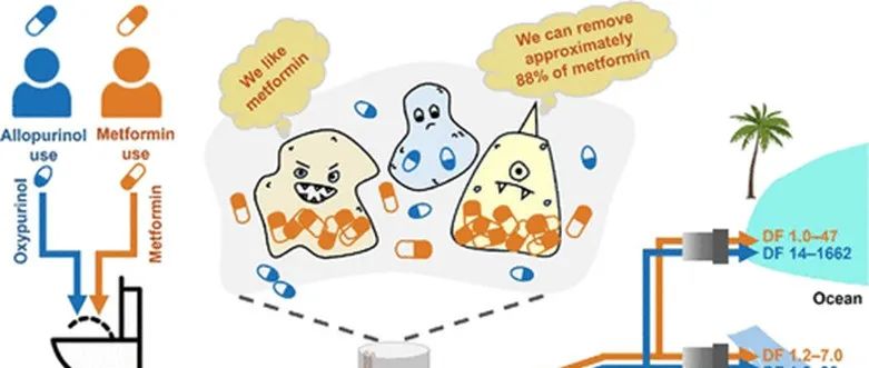 昆士兰大学QAEHS研究中心ES&T：基于污水分析的澳大利羟嘌呤醇和二甲双胍环境排放研究