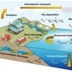 汕头大学王铁宇、梁裕升团队Journal of Hydrology：优化水动力模型实现PFAS源汇过程精准模拟