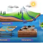 Water Resources Research | 东北地理所在浅层地下水溶质运移空间模拟研究方面取得重要进展