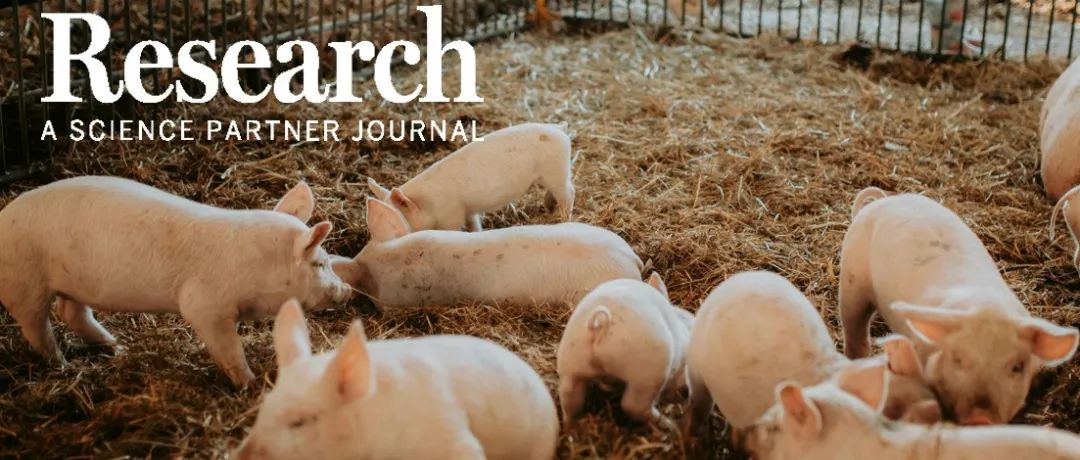 Research|异丁酸通过宿主-微生物群互作抵御仔猪结肠炎—东北农业大学动科学院石宝明团队新进展