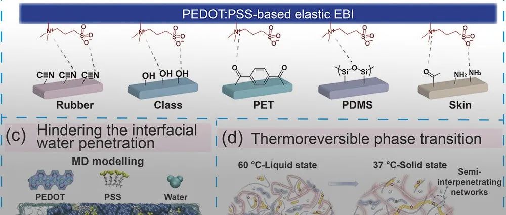 江西科技师范大学陈帅、卢宝阳课题组 PPS 综述：PEDOT:PSS基电子材料 - 制备、性能调控、加工、应用及未来展望