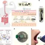 加州理工高伟教授团队 Nat. Electronics：使用集成智能胶囊对胃肠道连续健康监测