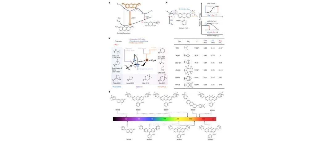 文献分享| Nature Chemistry : 同型RNA聚类伴随多组分生物分子凝集物核心内部的液-固相变
