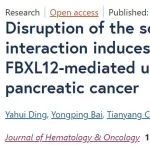 JHO：南开大学张泉教授揭示破坏Sorcin&#8210;PAX5蛋白互作诱导胰腺癌细胞铁死亡的新策略