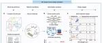 上海交通大学最新Nature