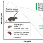 Aging Cell | 清华大学生命学院邓海腾课题组开发靶向CD38的抗衰老疫苗改善小鼠衰老相关表型